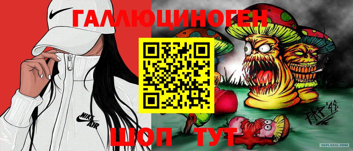 Псилоцибиновые грибы GOLDEN TEACHER Донской