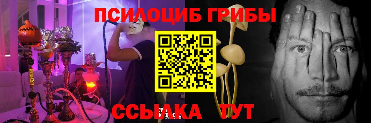 Галлюциногенные грибы MAGIC MUSHROOMS  Псилоцибиновые грибы мицелий  Вход с VPN  купить закладку  Донской 